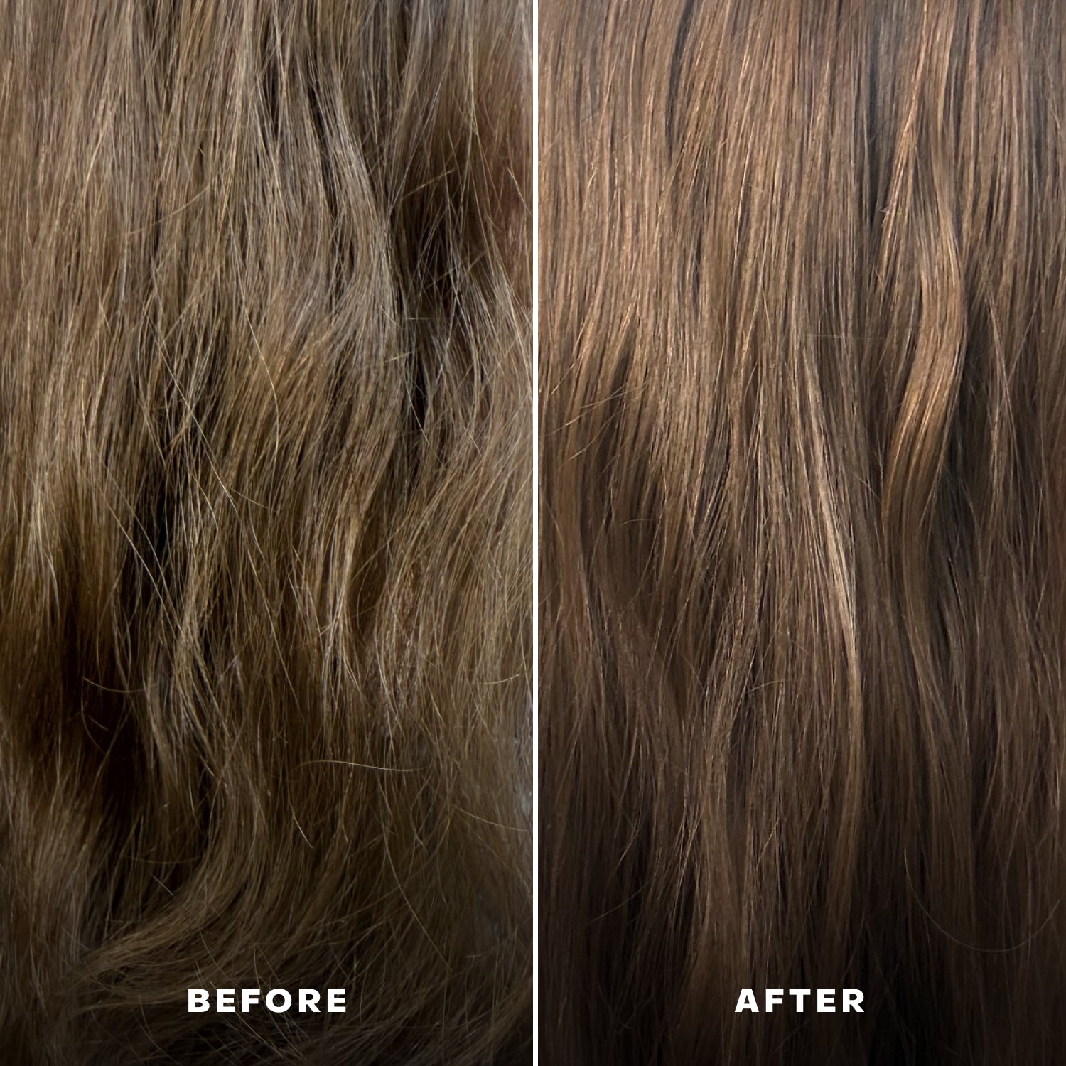 02042026_Everist_Website_PDP_Images_BeforeAfter_Shampoo_DCC_11.jpg