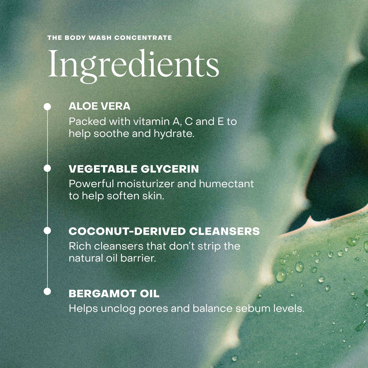 The Body Wash Concentrate