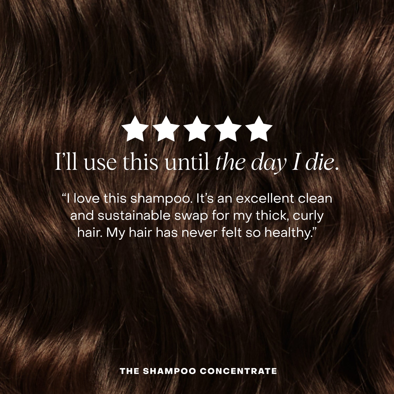 The Shampoo Concentrate