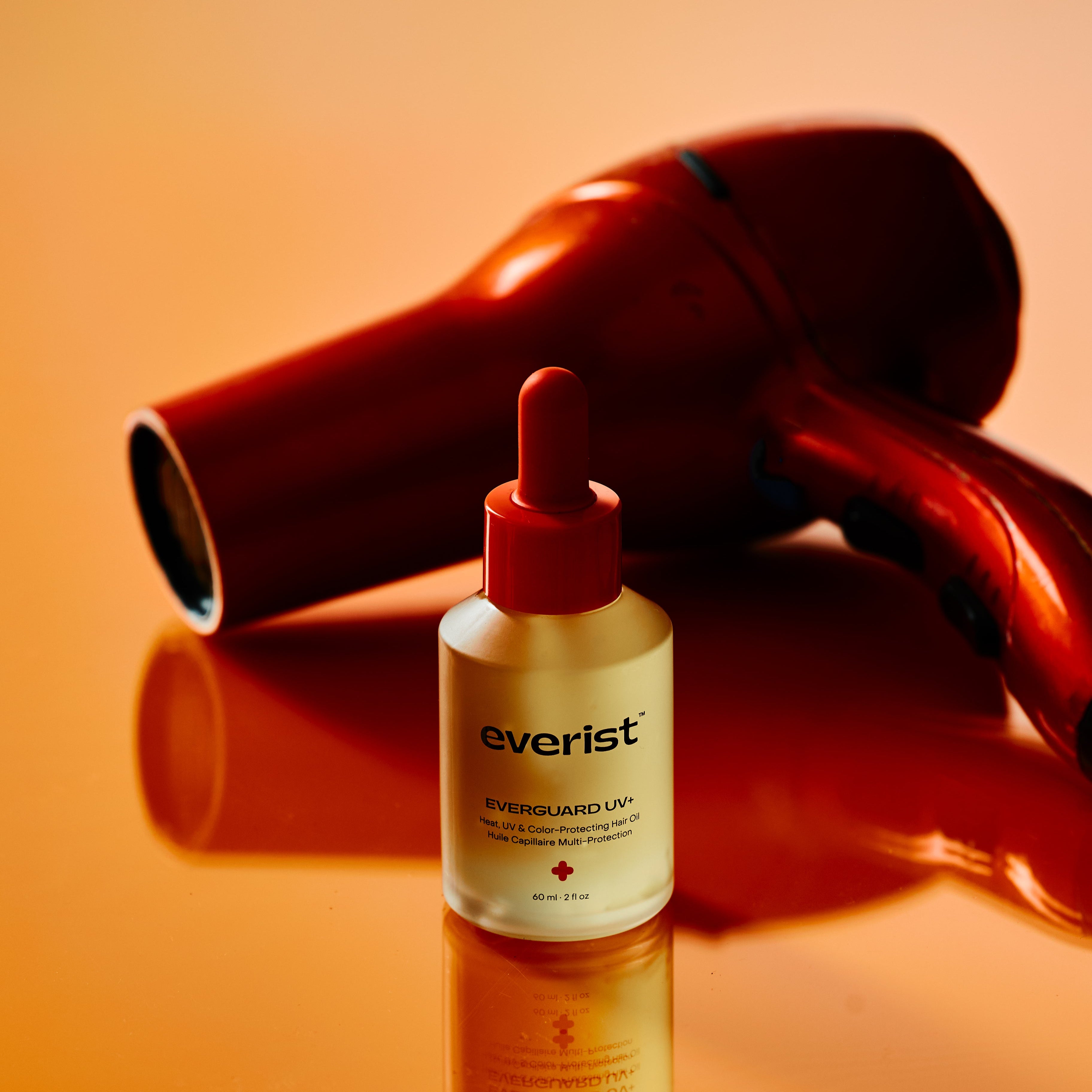 EVERIST_58149.jpg
