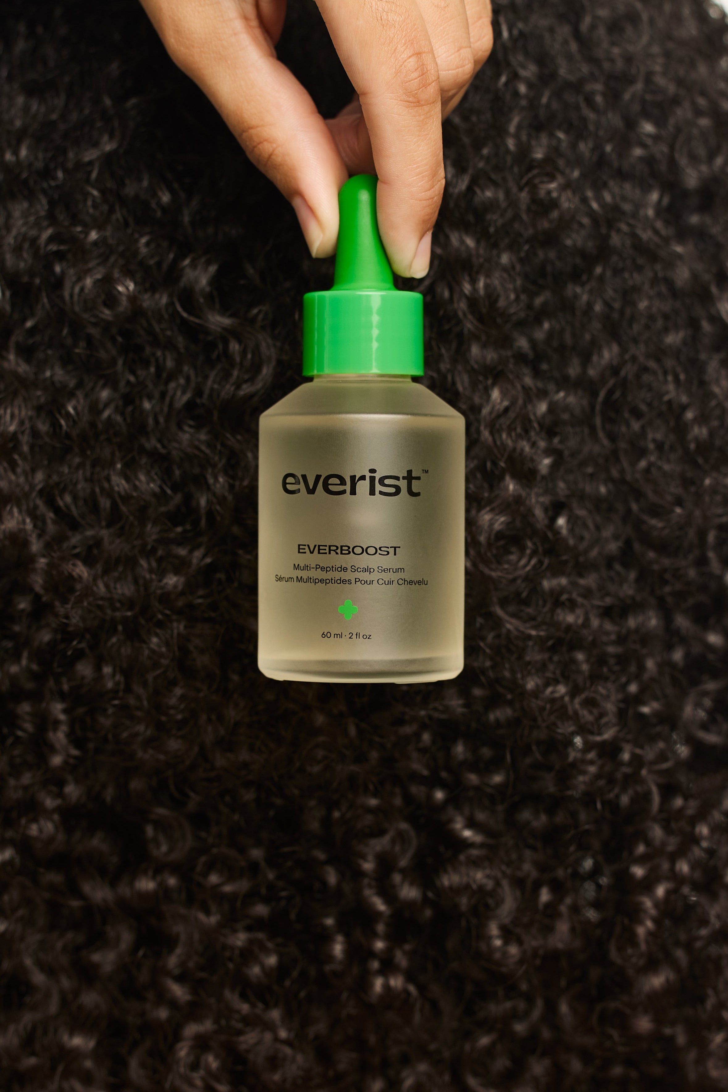 EVERIST_59279_1.jpg