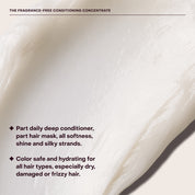 The Fragrance-Free Haircare Starter Set