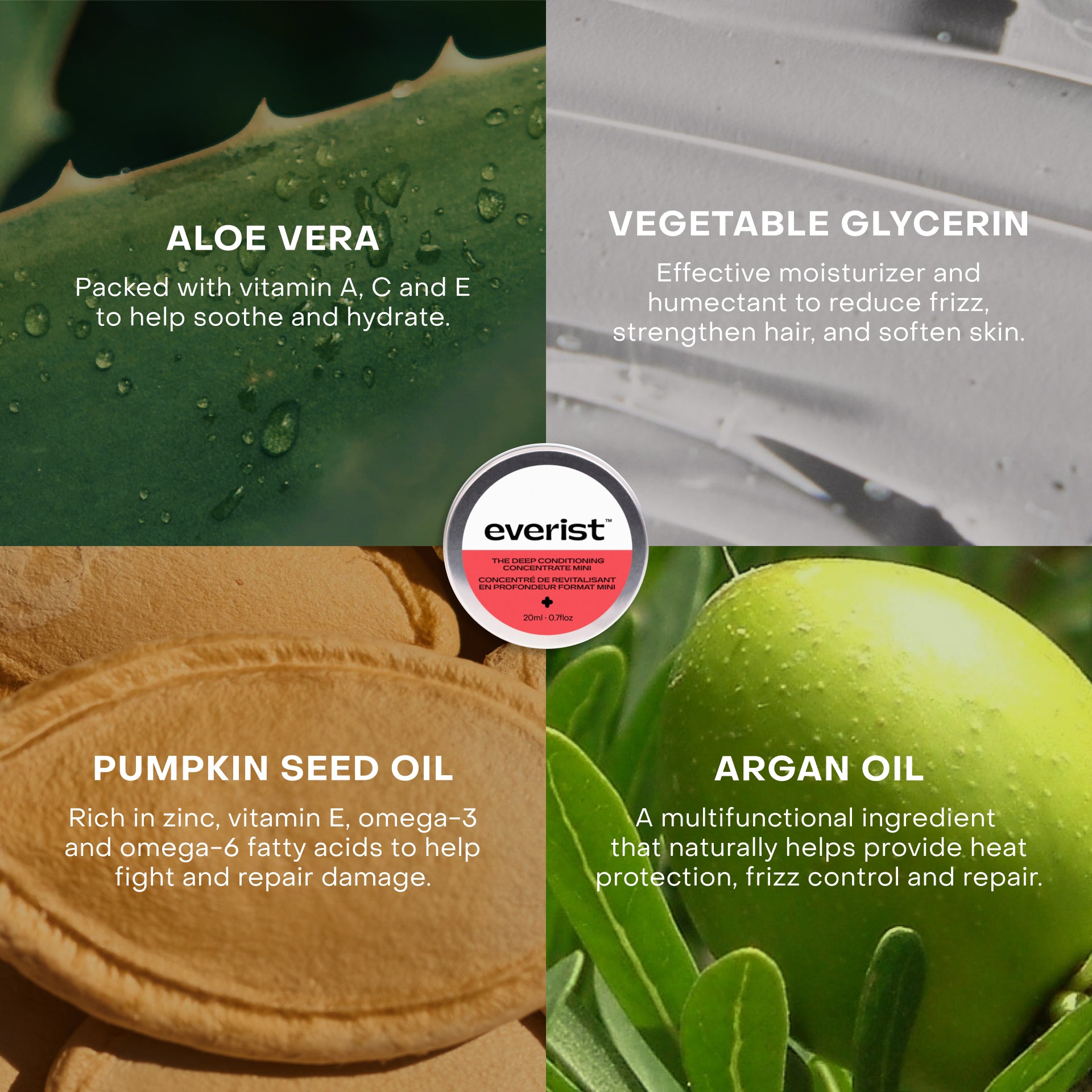 The Shower Essentials Travel Kit – Everist