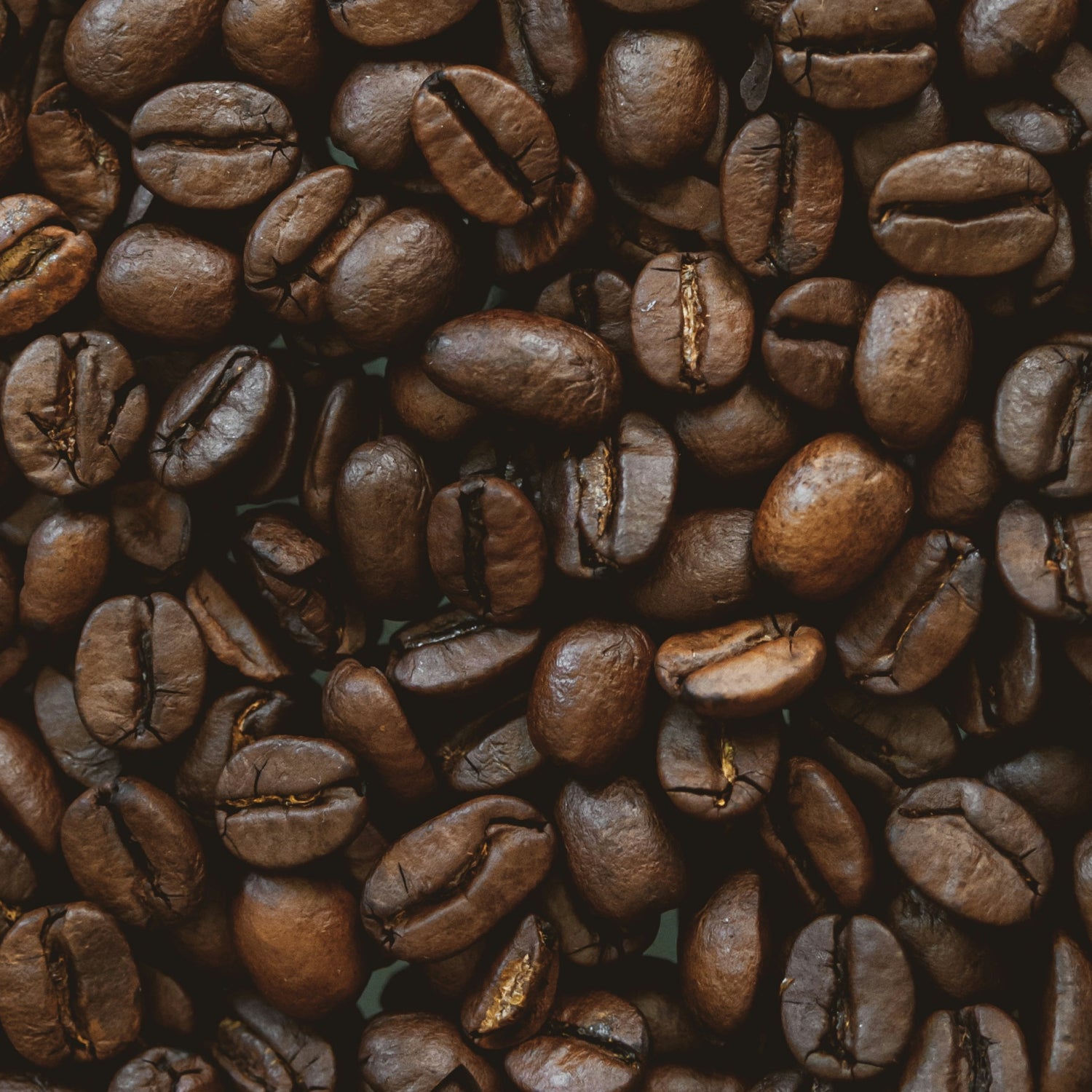 Everist_EverBoost_Ingredients_Caffeine_1.jpg
