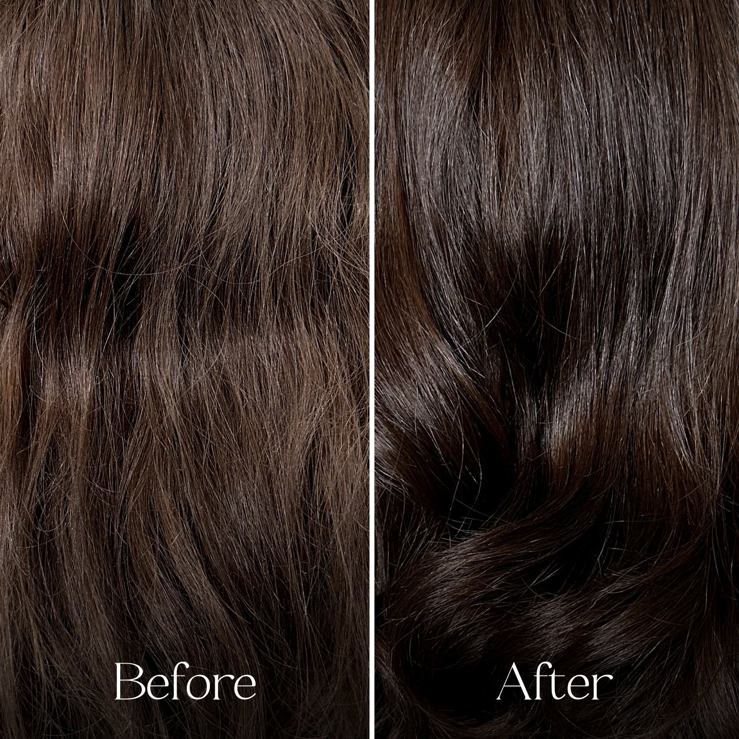 The Shampoo Concentrate