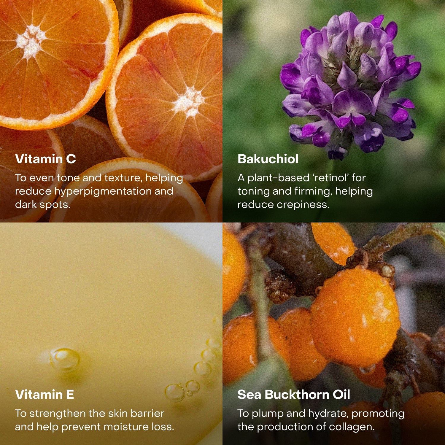 The Best Sellers Bundle