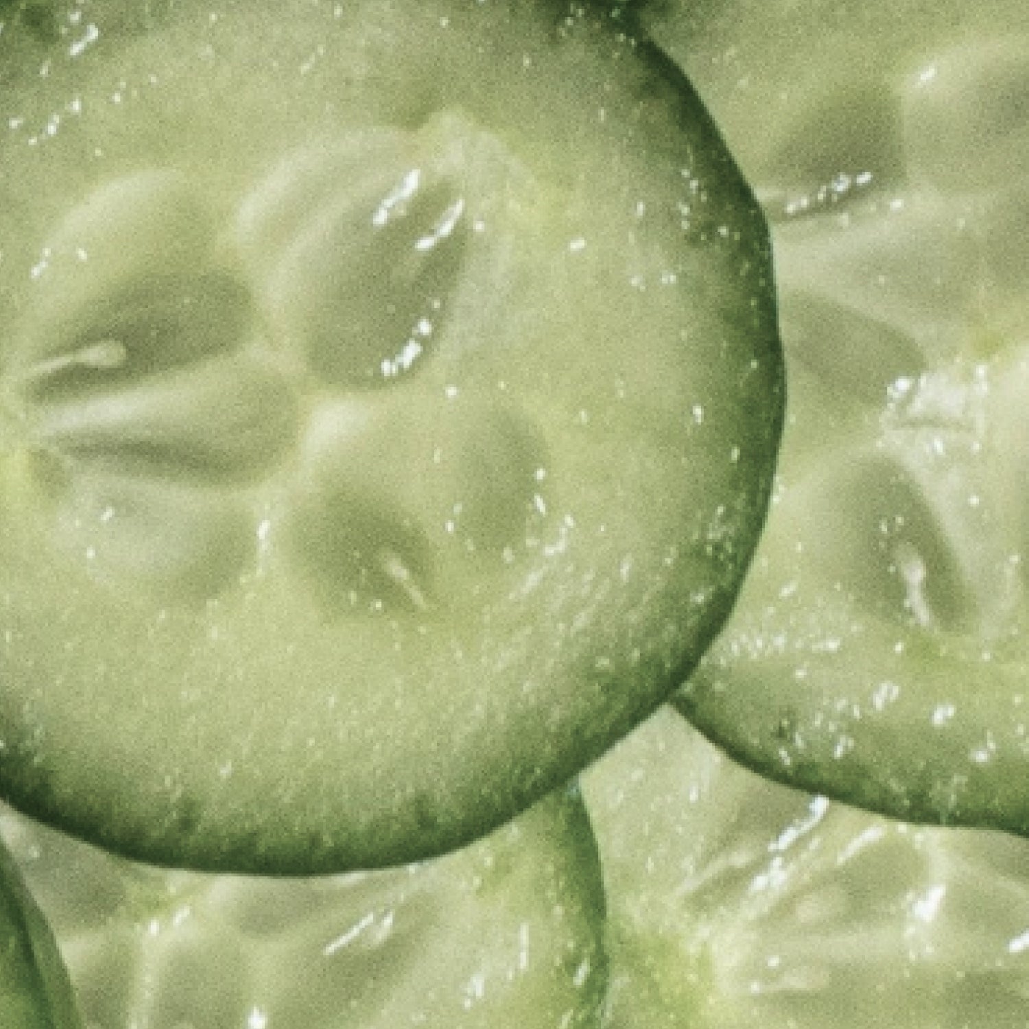 Cucumber Extract
