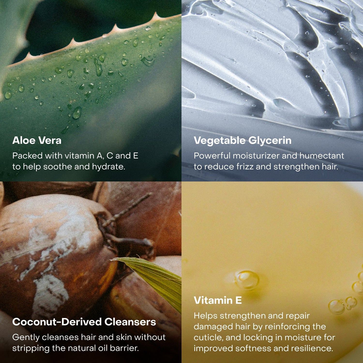 The Fragrance-Free Conditioning Concentrate