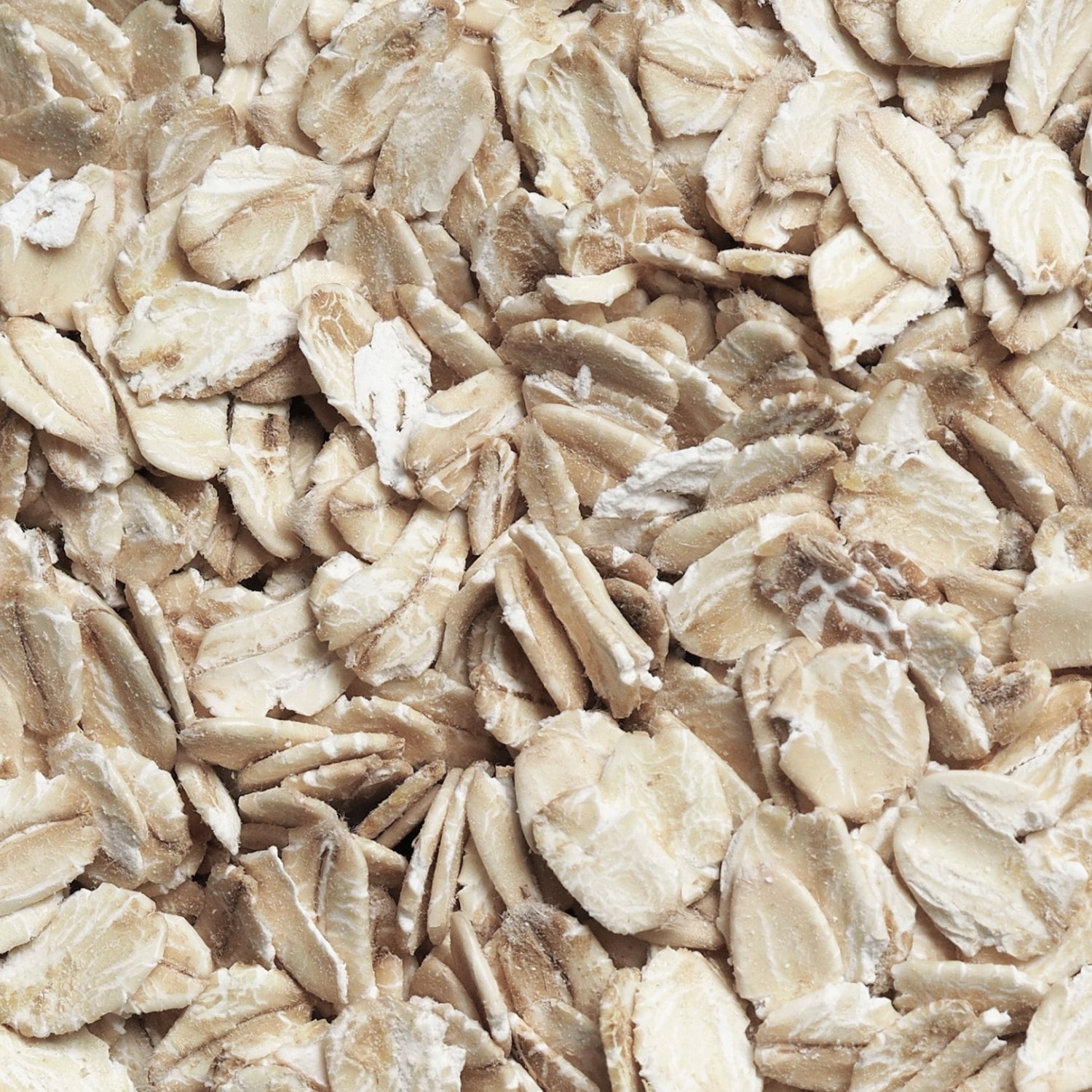 Oat Milk Powder