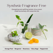 The Best Sellers Bundle Tins