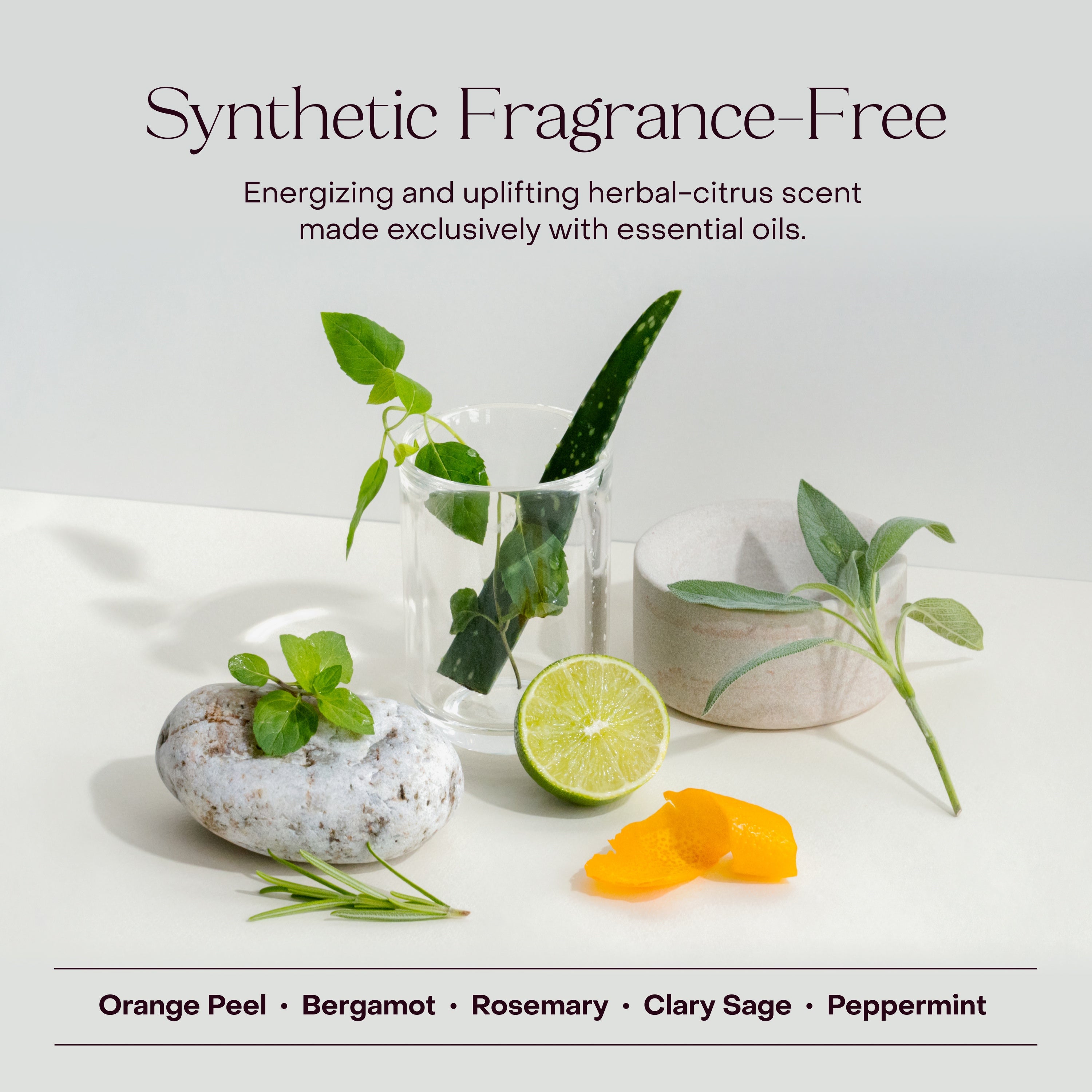 The Best Sellers Bundle