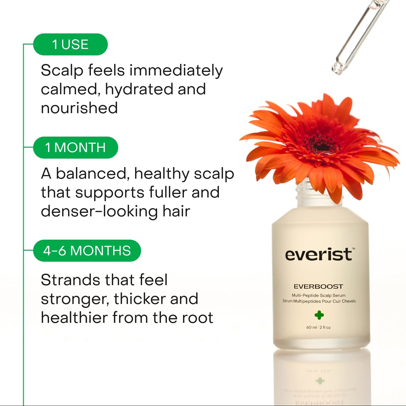 The Limited Edition Black Friday Bundle