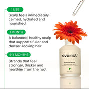 The Limited Edition Black Friday Bundle