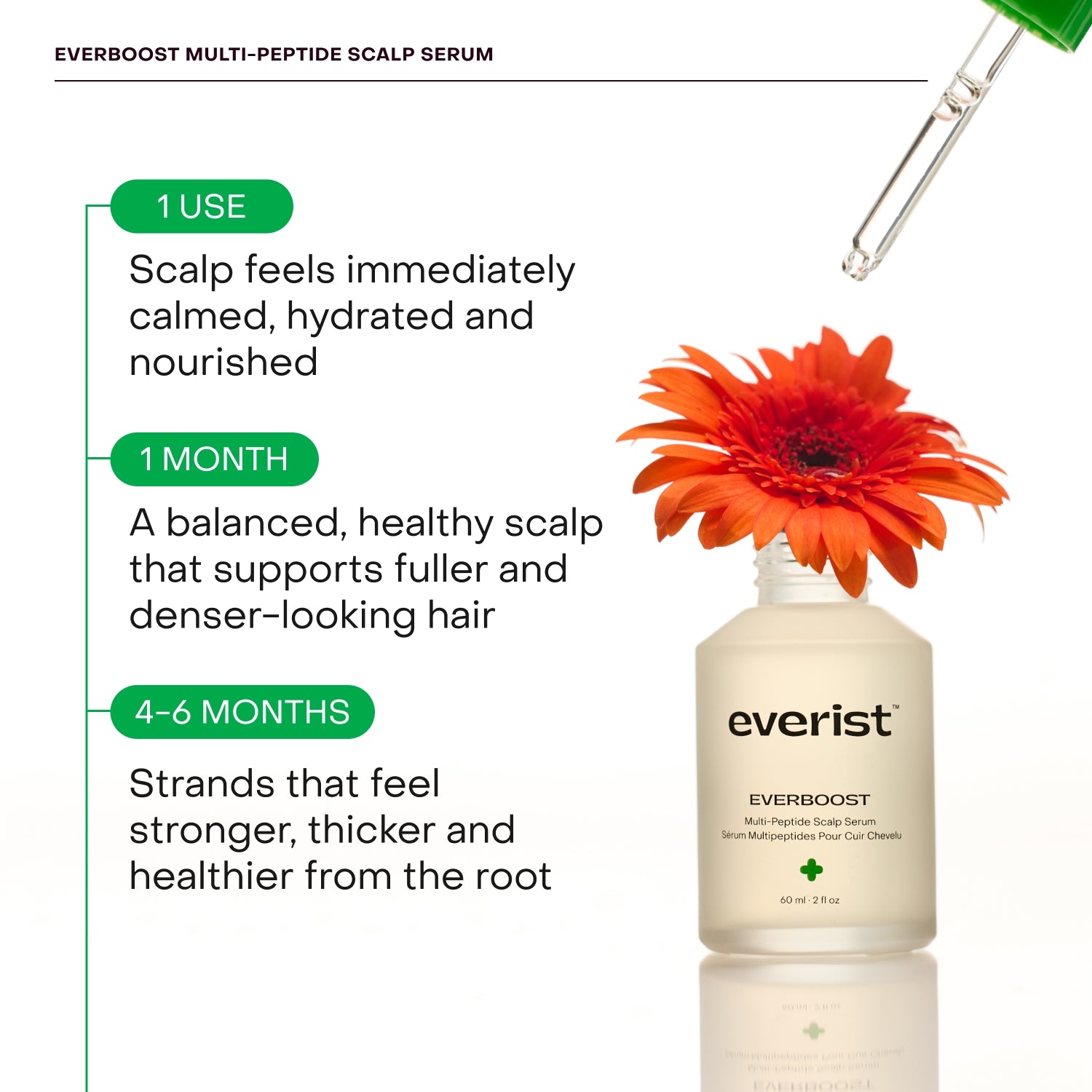 Scalp Wellness Essentials