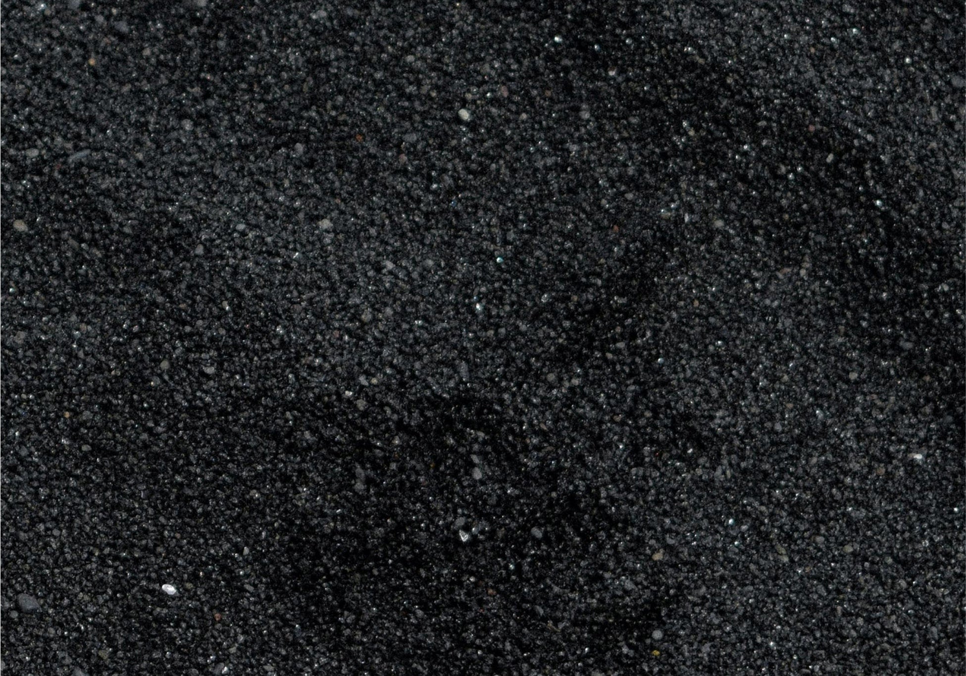 Everist_Website_PDP_Ingredients_Charcoal_1.jpg