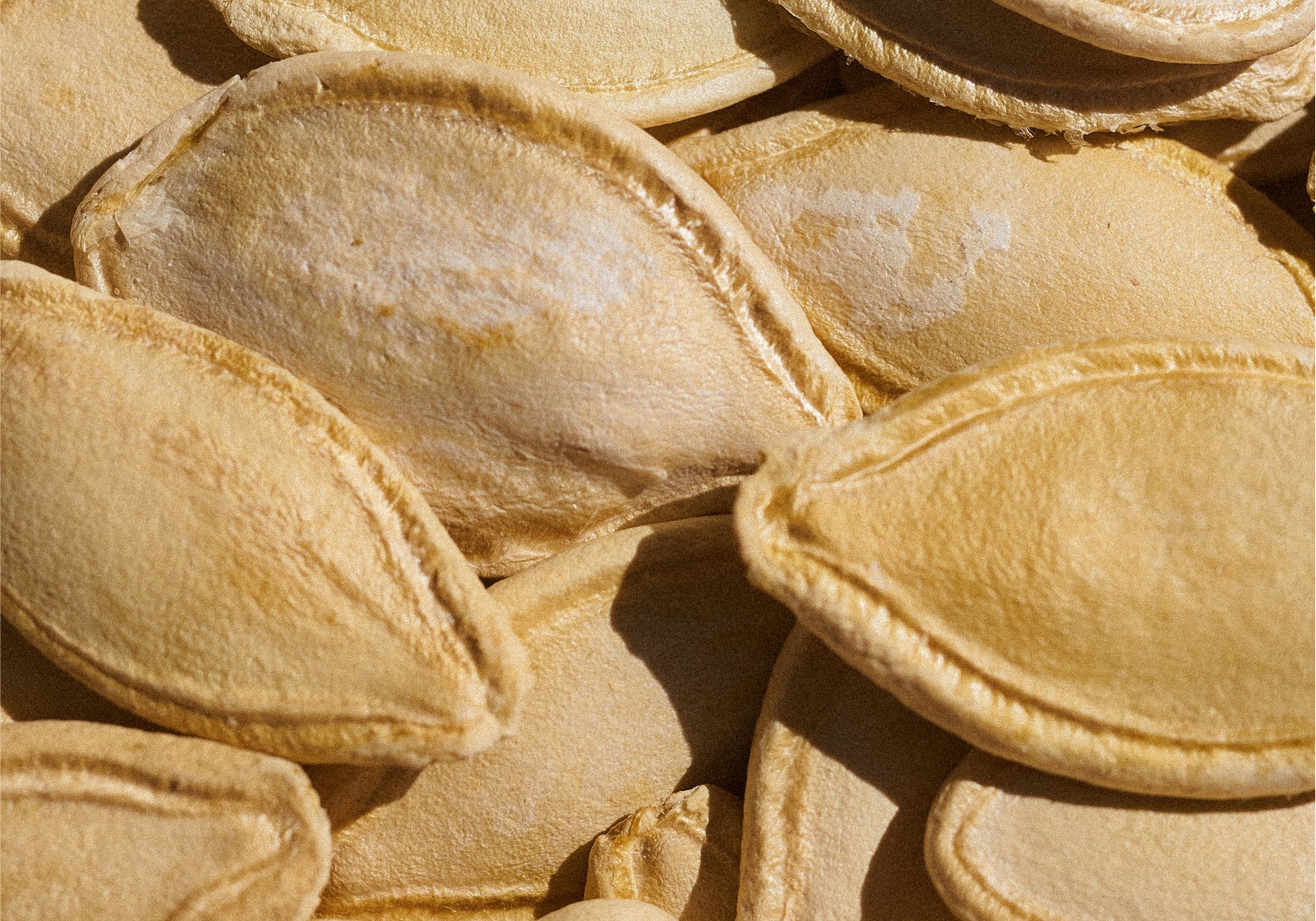 Everist_Website_PDP_Ingredients_PumpkinSeedOil_1.jpg