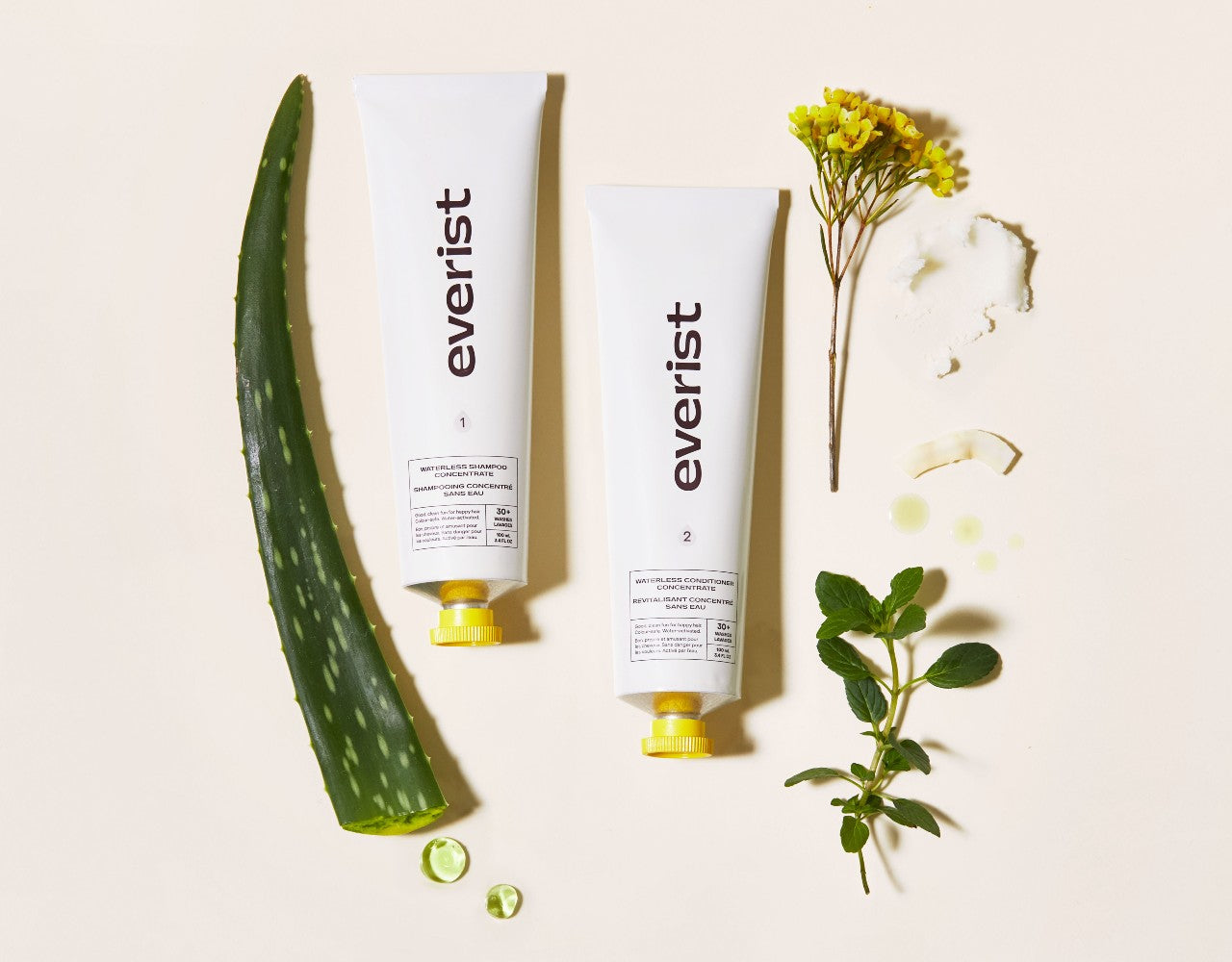 Everist waterless shampoo and conditioner concentrate tubes beside aloe vera, shea butter, coconut oil and peppermint.